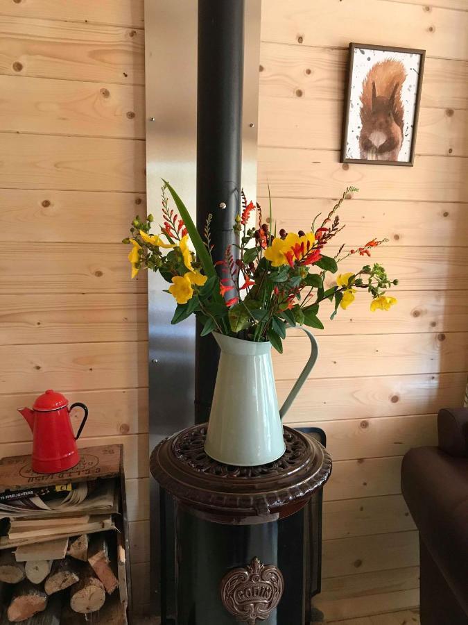 Off Grid Hideaway On The West Coast Of Scotland Villa Blairmore Eksteriør bilde